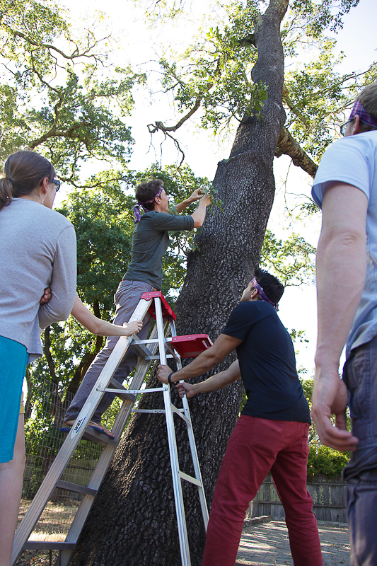 hunger-games-treasure-hunt Hunger Games Treasure Hunt