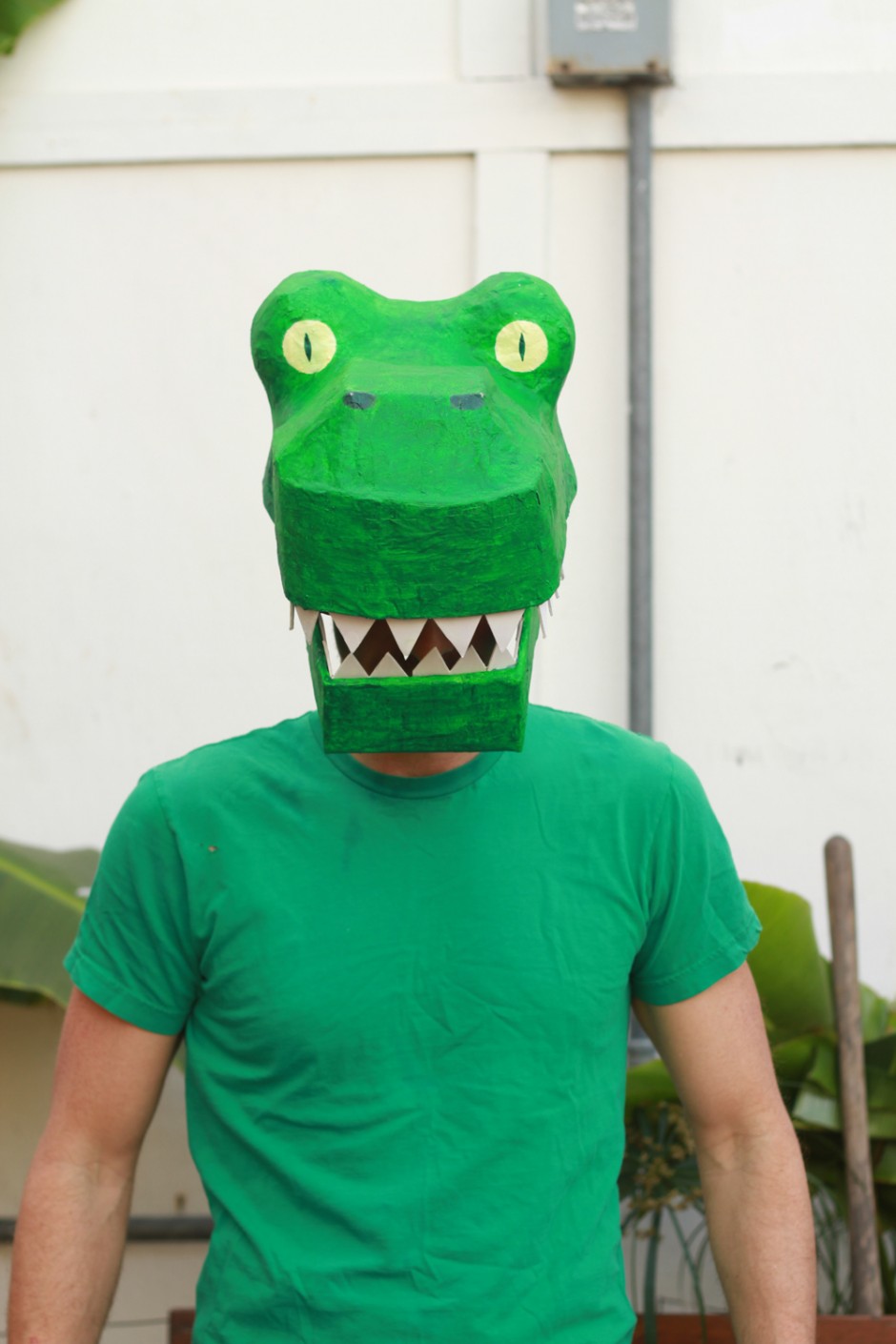 DIY Dinosaur Costume: Trex costume DIY Mache Dinosaur Costume: Trex costume